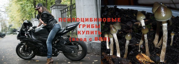 прущий лед Богородск