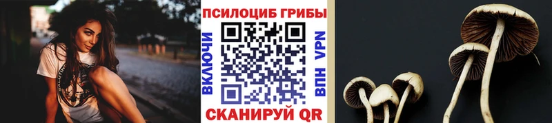 Галлюциногенные грибы мухоморы  Вяземский 